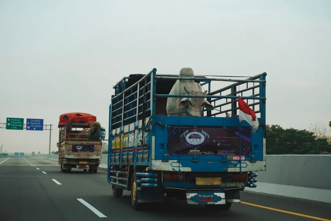 Logística de transporte por carretera