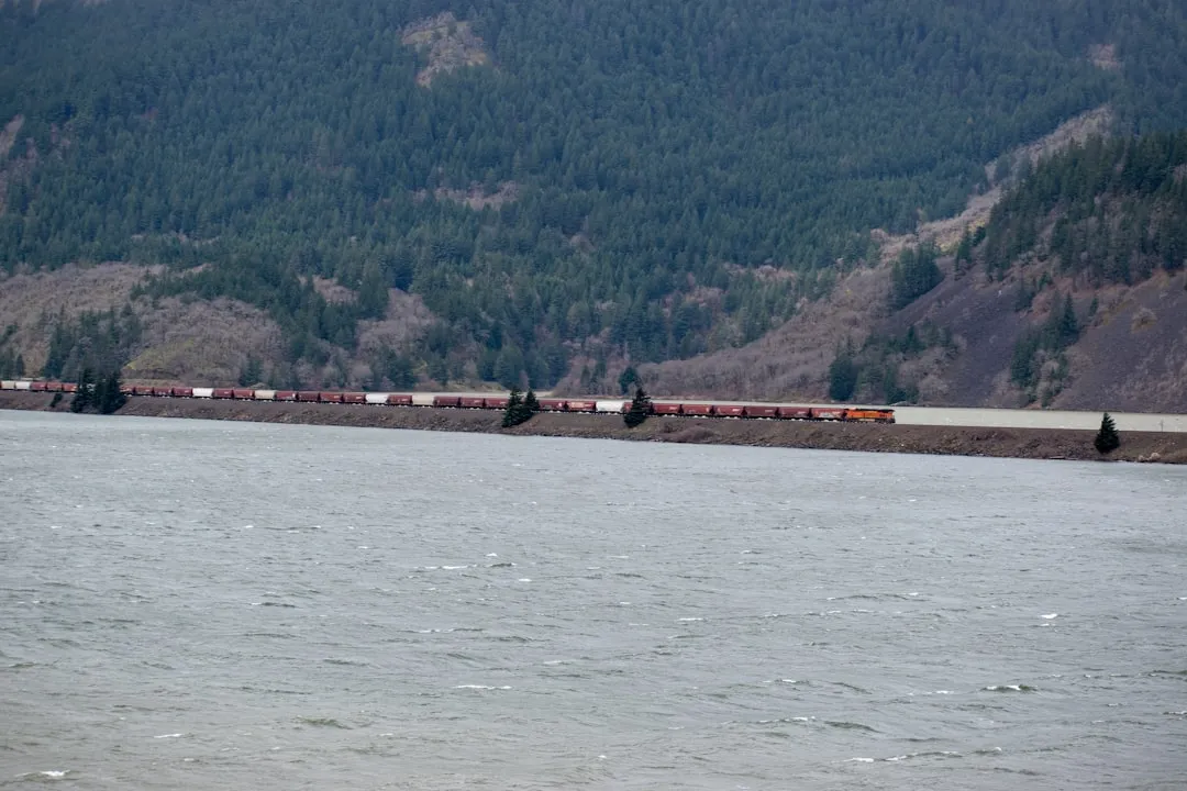 Tren de carga circulando junto a un río a través de las montañas