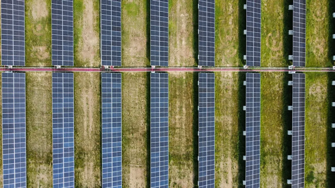 Filas de paneles solares en un campo